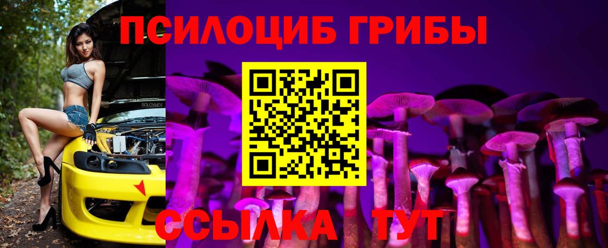 Галлюциногенные грибы мухоморы Большой Камень
