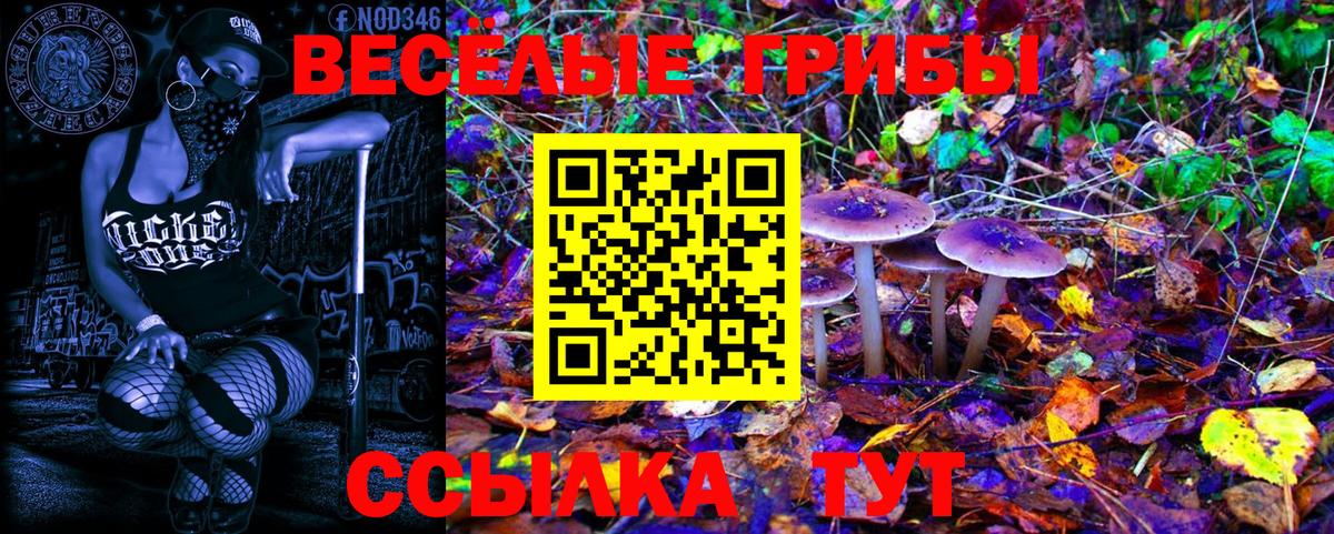Псилоцибиновые грибы Magic Shrooms  Псилоцибиновые грибы Cubensis  Большой Камень  Вход с VPN 